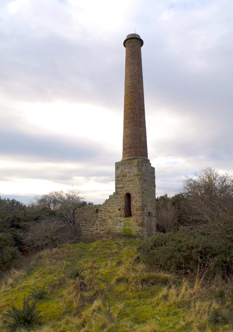 Ford Moss Nature Reserve and Colliery
