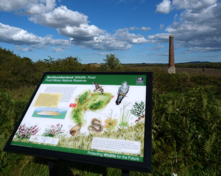 Ford Moss Nature Reserve and Colliery