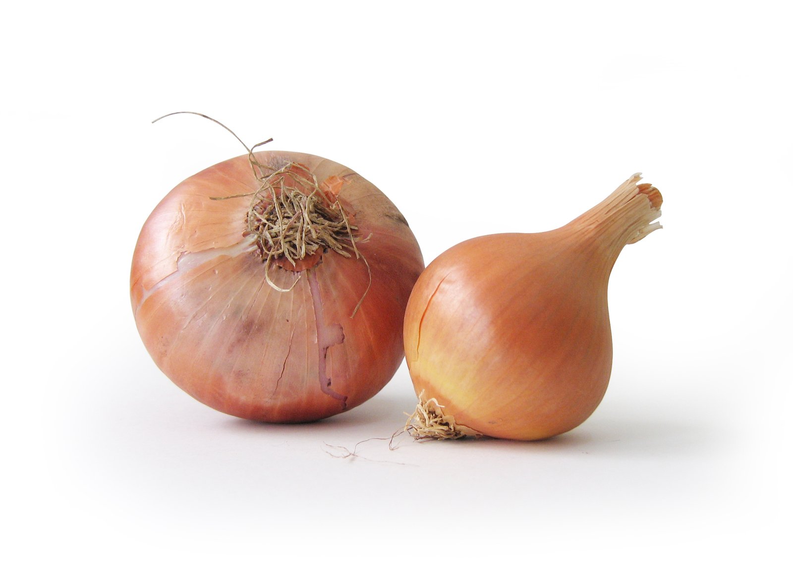 Etal Onion Show