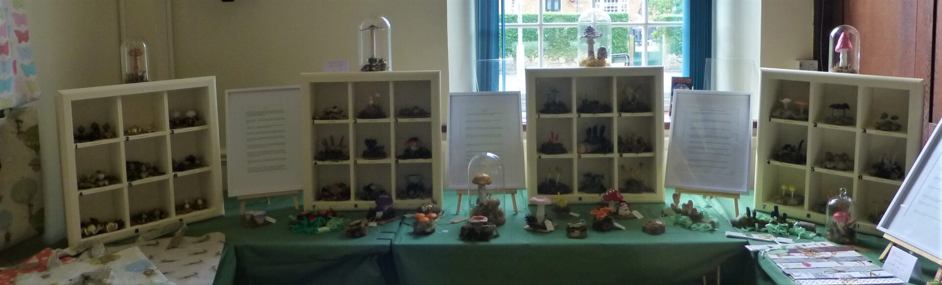 Borders Fungus Group Exhibition and Craft Sale