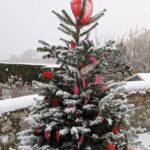Ford & Etal Christmas Tree Trail