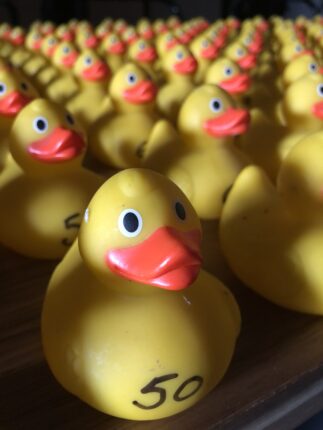 Duck Race