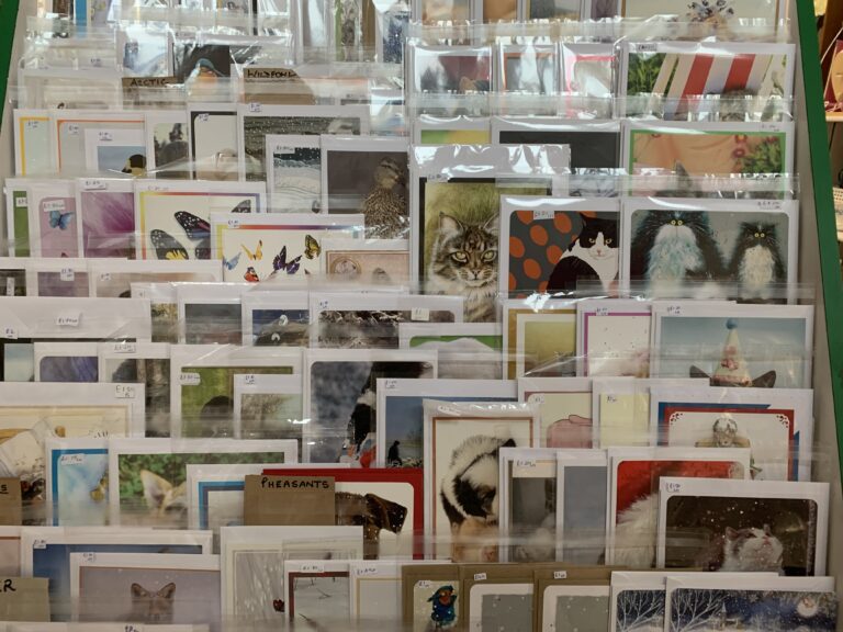 Petal ‘n’ Paint Creations