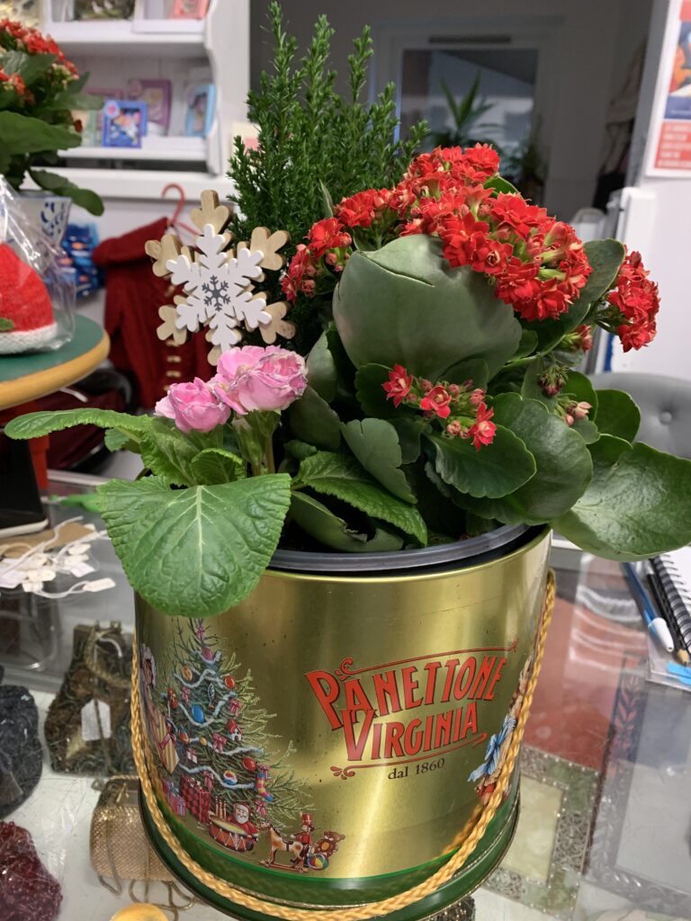 Petal ‘n’ Paint Creations