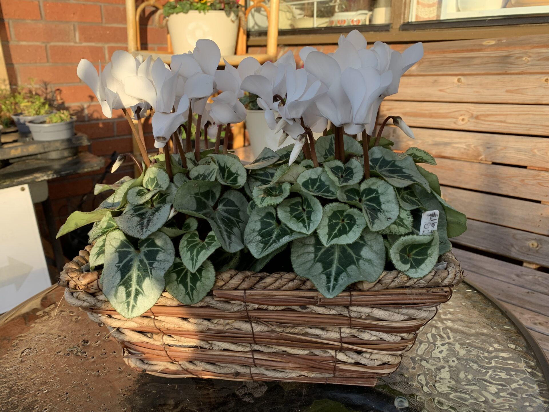 Petal ‘n’ Paint Creations