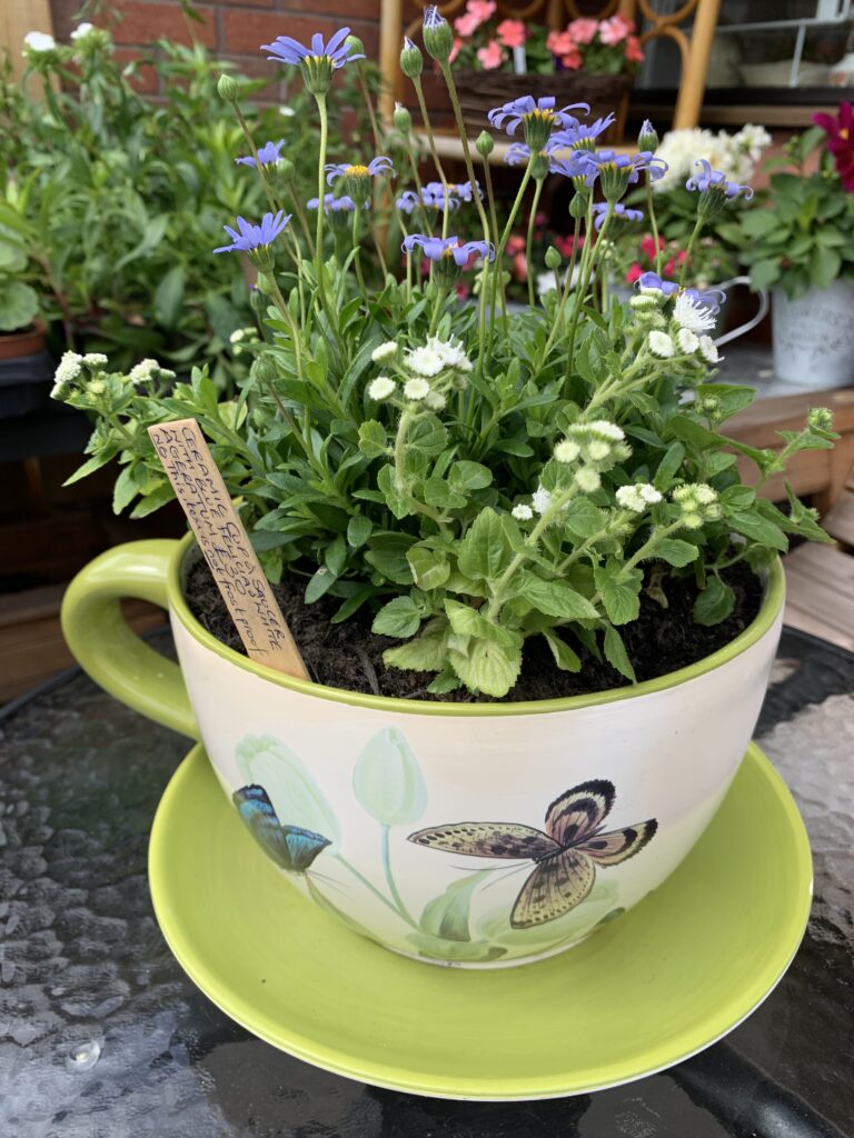 Petal ‘n’ Paint Creations