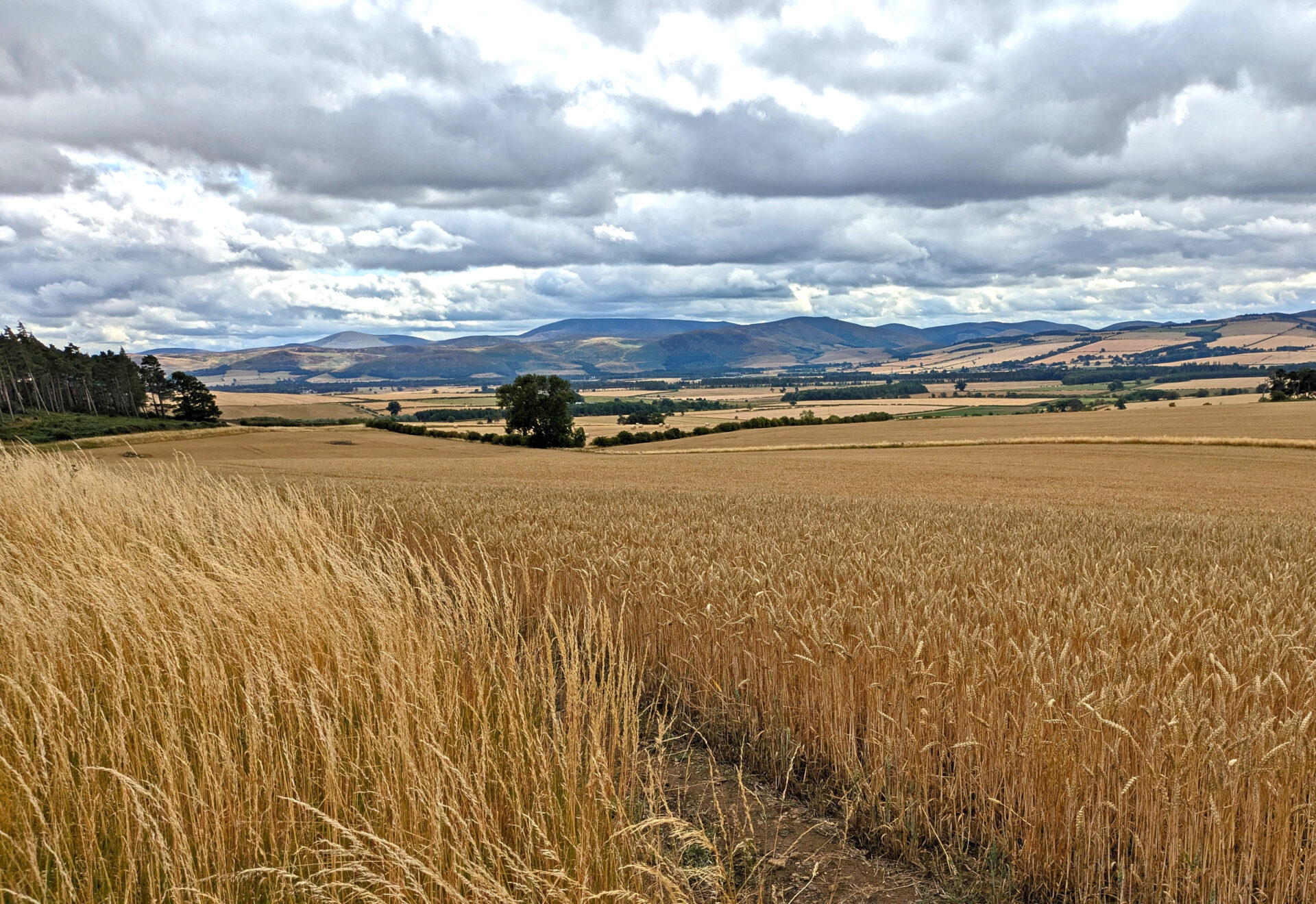Northumbrian Earth – Exploring the landscape of Ford Moss